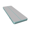 Sell gray surface light mint side cheese gymnastics mat